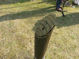 20130309_152315 (800x600) (2)